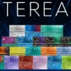 IQOS TEREA 日本版加熱菸彈｜黃金純淨菸草配比打造日常低負擔感｜尋求高穩定全天候主力方案的重度使用者推薦